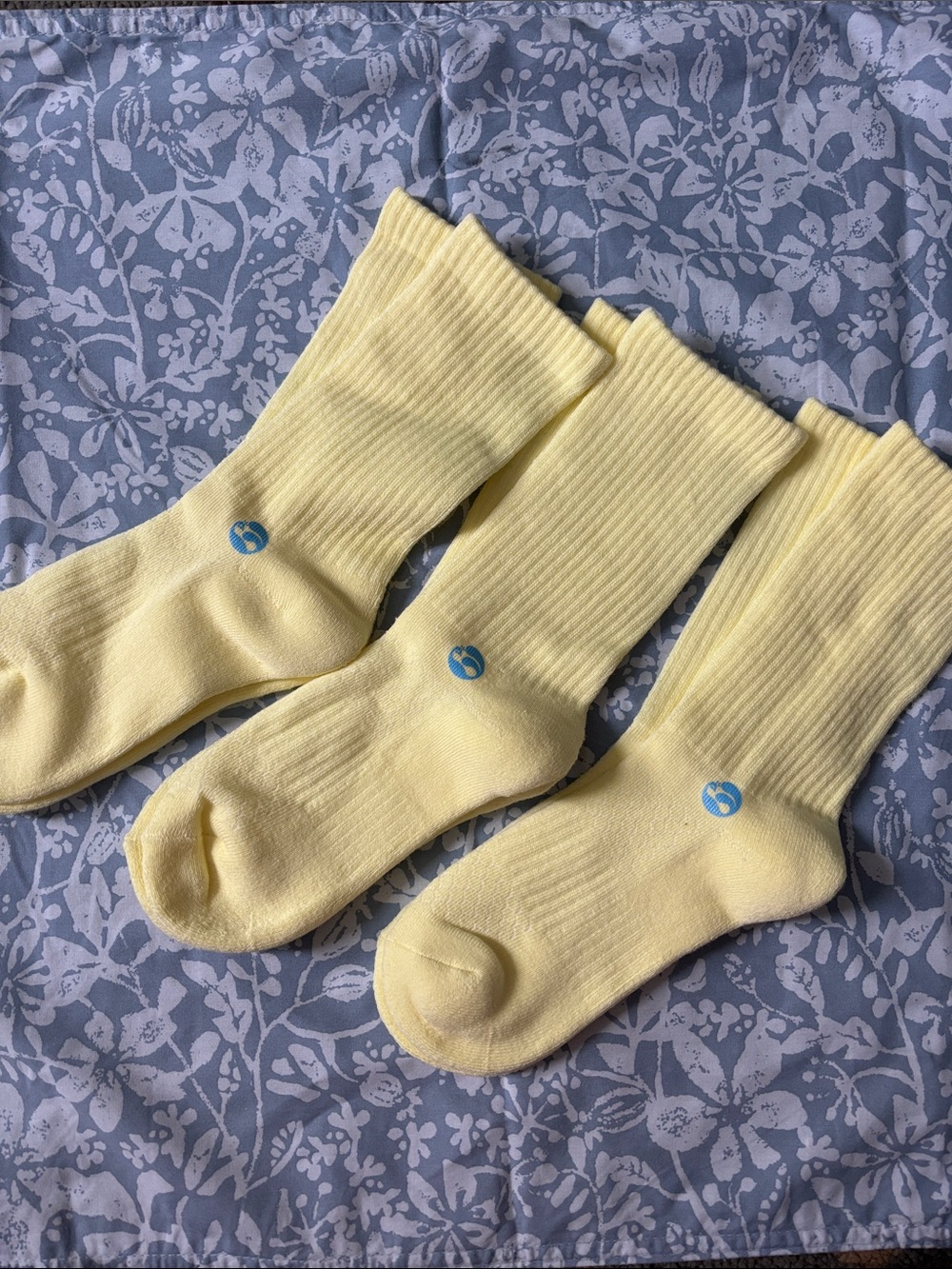 Women’s Hyacinth Hyaline Medium Crew Moonglow Yellow Micro Crew Socks (3-Pack)